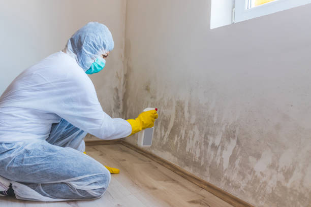 Licensed Mold Inspection service in Fort Worth, TX - WQB Mold Removal