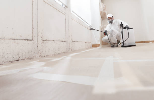 24/7 Emergency Mold Inspection experts in Fort Worth, TX