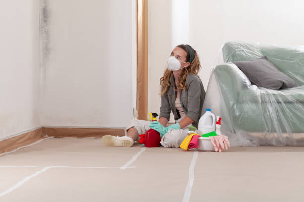 Reliable Mold Inspection contractor in Fort Worth, TX by WQB Mold Removal