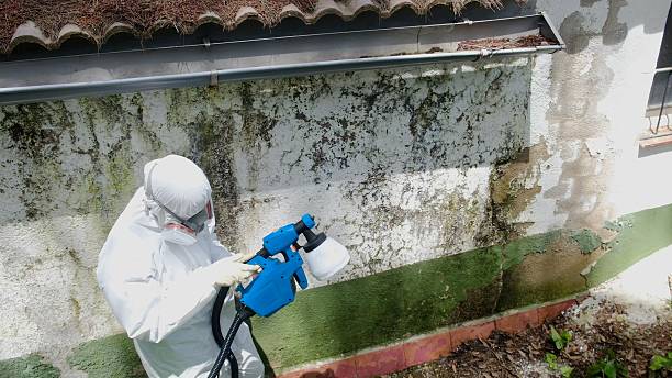 Top rated local Mold Inspection specialists in Fort Worth, TX